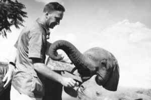 David Sheldrick was a pioneer game warden who had done much to combat poaching