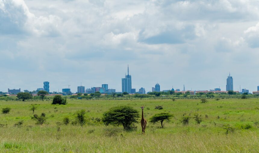 Experiencing Nairobi: The Perfect Day Tours