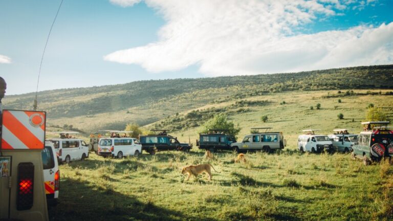 kenyan safari