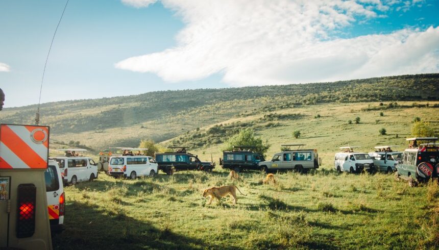 Kenya Unveiled: 10 Reasons Why It’s the Ultimate Safari Destination